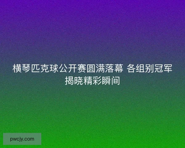横琴匹克球公开赛圆满落幕 各组别冠军揭晓精彩瞬间