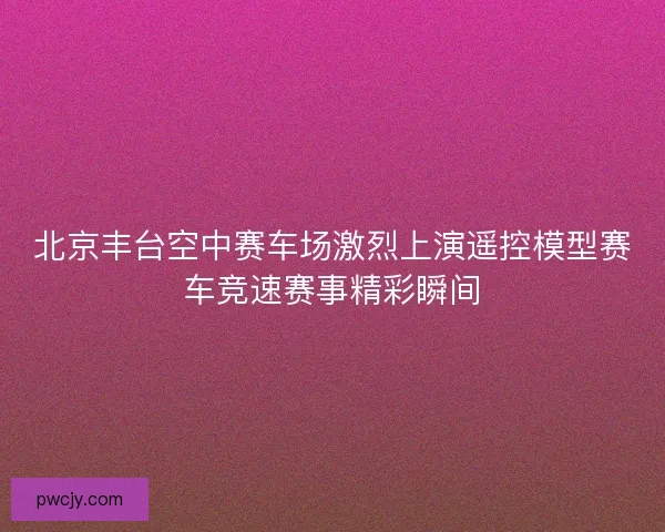 北京丰台空中赛车场激烈上演遥控模型赛车竞速赛事精彩瞬间