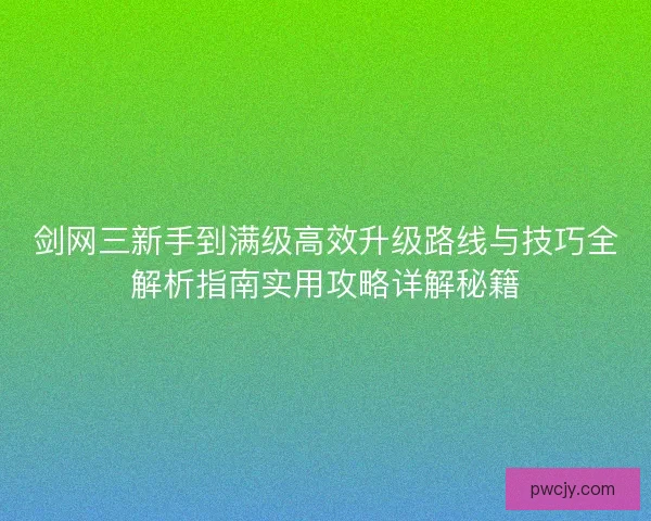 剑网三新手到满级高效升级路线与技巧全解析指南实用攻略详解秘籍