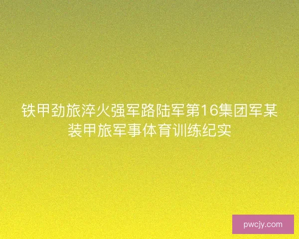 铁甲劲旅淬火强军路陆军第16集团军某装甲旅军事体育训练纪实